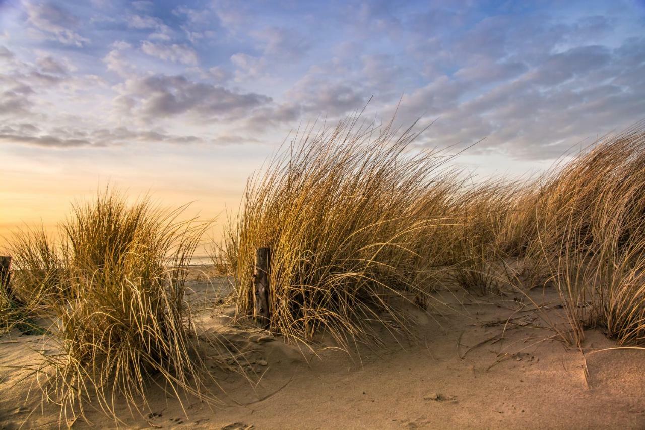 Nordsee-Camp Norddeich Norden Ngoại thất bức ảnh